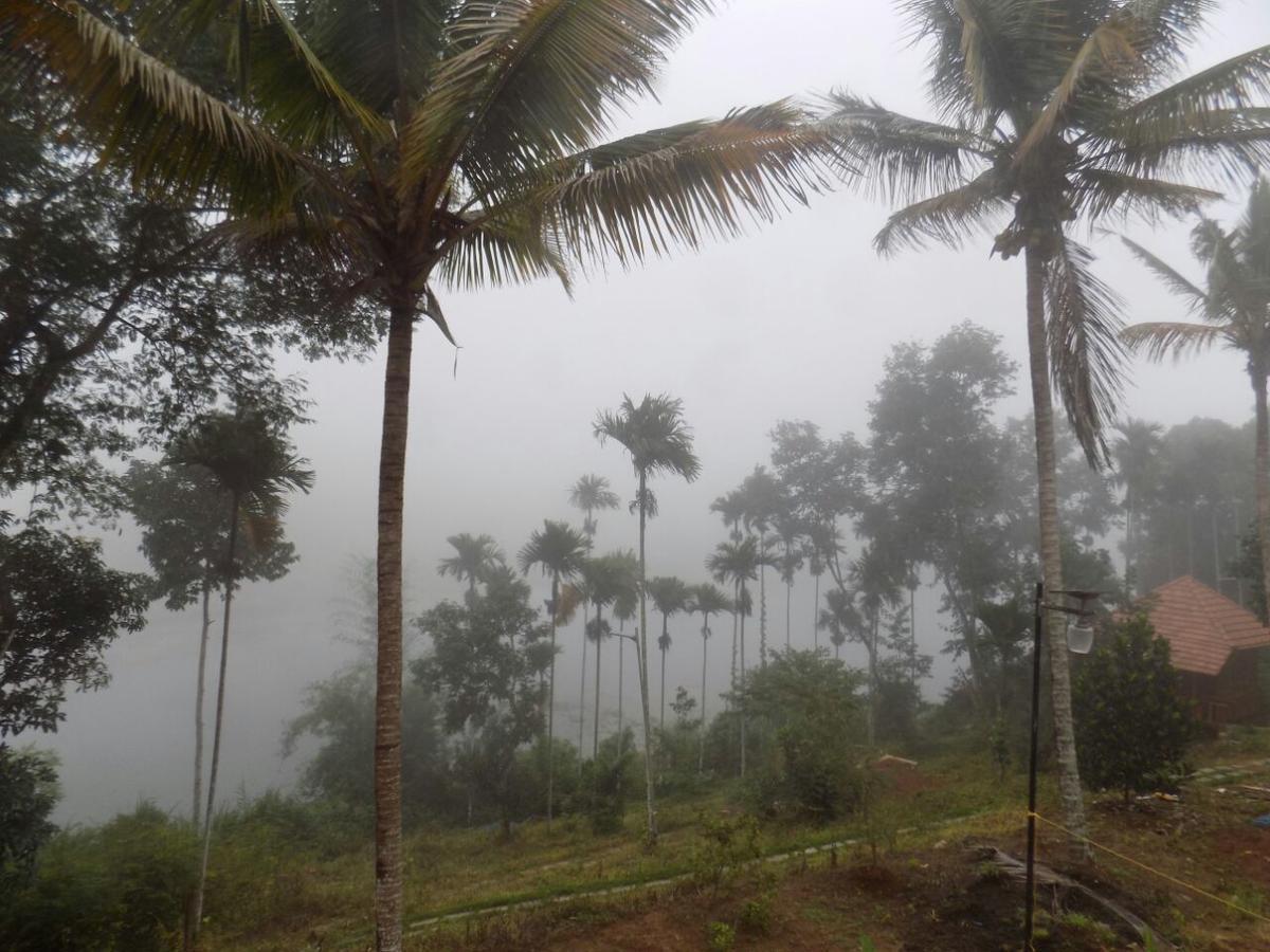 Misty Mornings Resort Ambalavayal Exterior foto